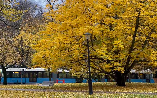 10月去瑞典旅游哪儿好玩？瑞典秋季旅游景点推荐